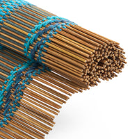 Reed Song