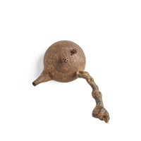Small Chen Qi Nan Sidehandle