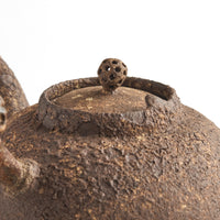 Large Chen Qi Nan Sidehandle