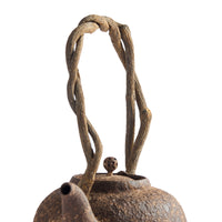 Chen Qi Nan Kettle