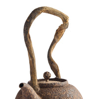 Chen Qi Nan Kettle