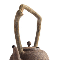 Chen Qi Nan Kettle