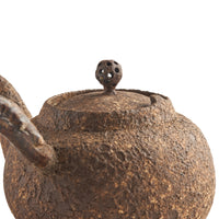 Medium Chen Qi Nan Sidehandle