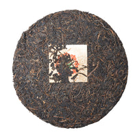 Dharma Cloud