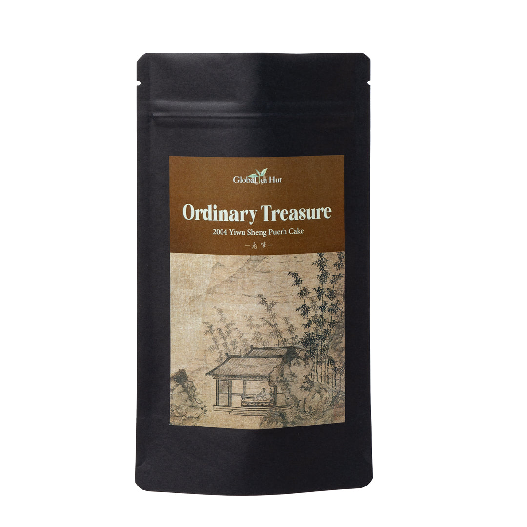 Ordinary Treasure