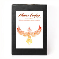 Phoenix Landing