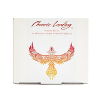 Phoenix Landing