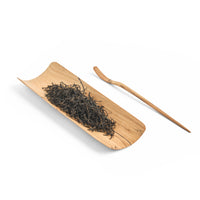 Large North American Maple Tea Scoop