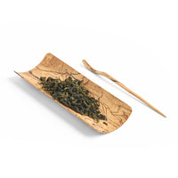 Large North American Maple Tea Scoop