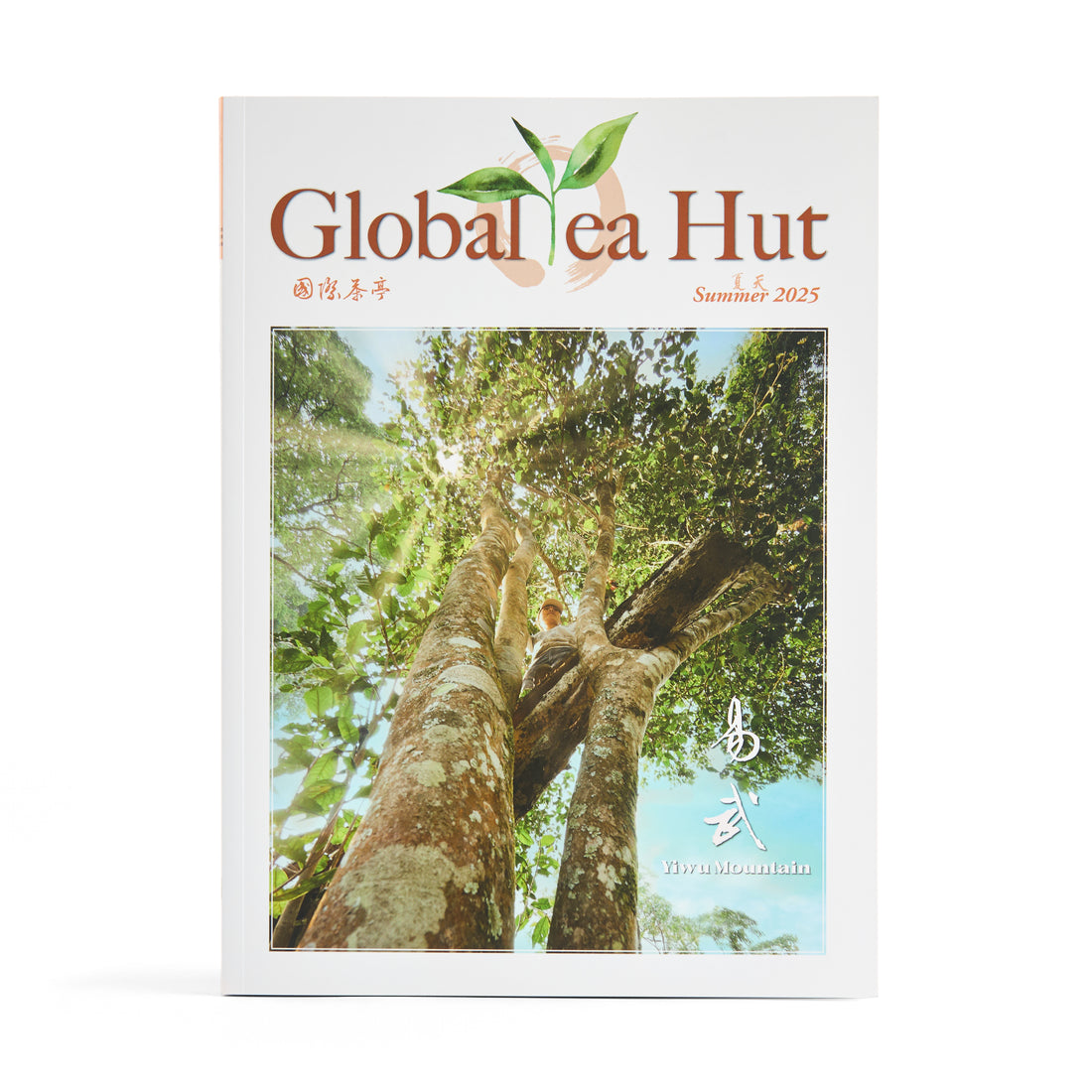 Summer 2025