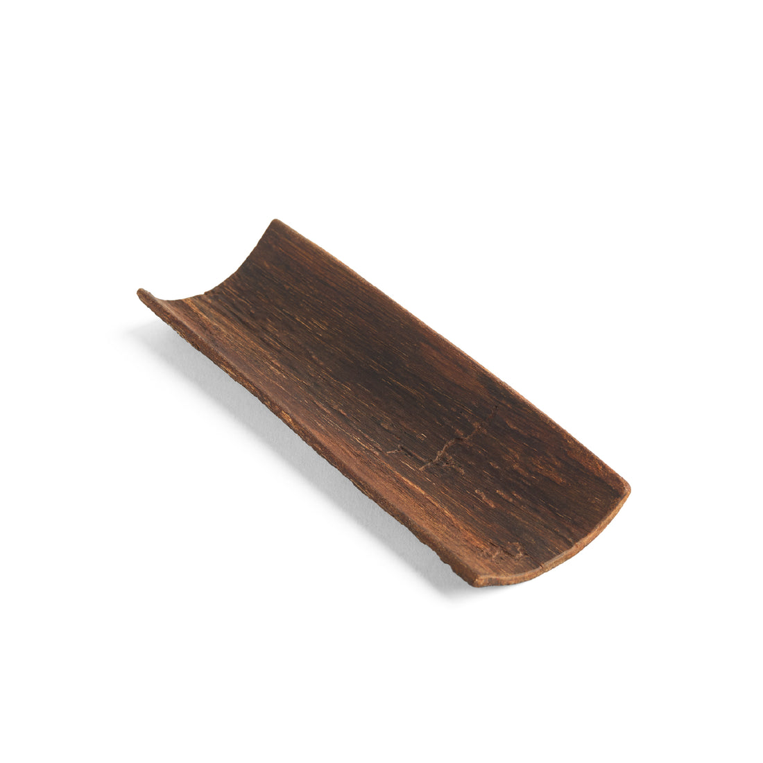 Acacia Bark Scoop
