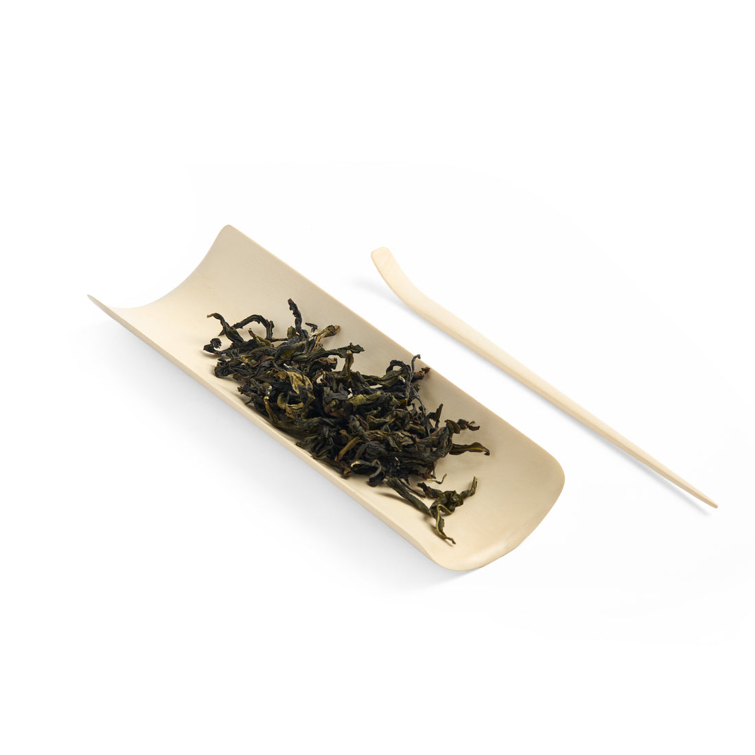 American Holly Large Tea Scoop