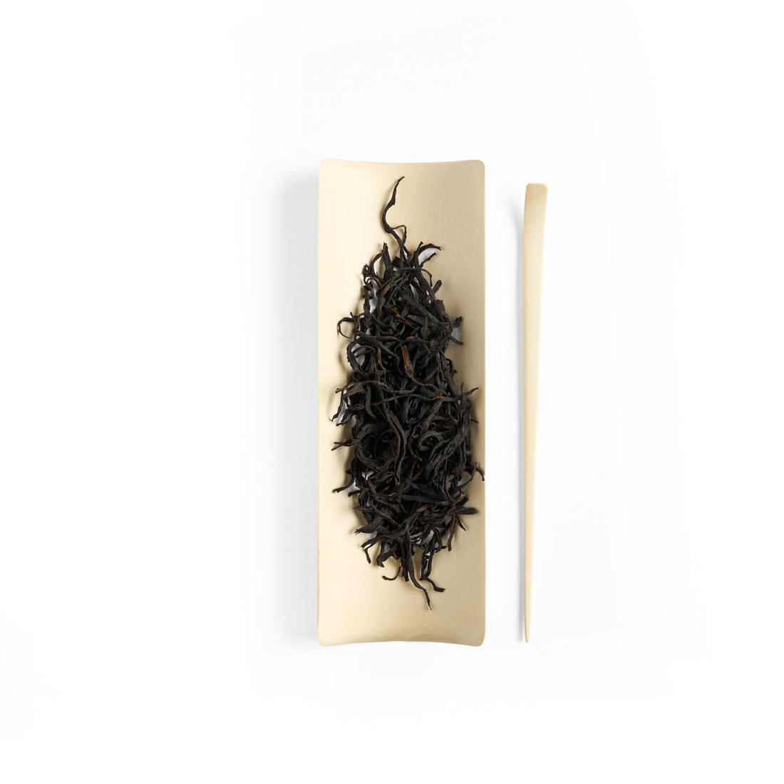 American Holly Large Tea Scoop
