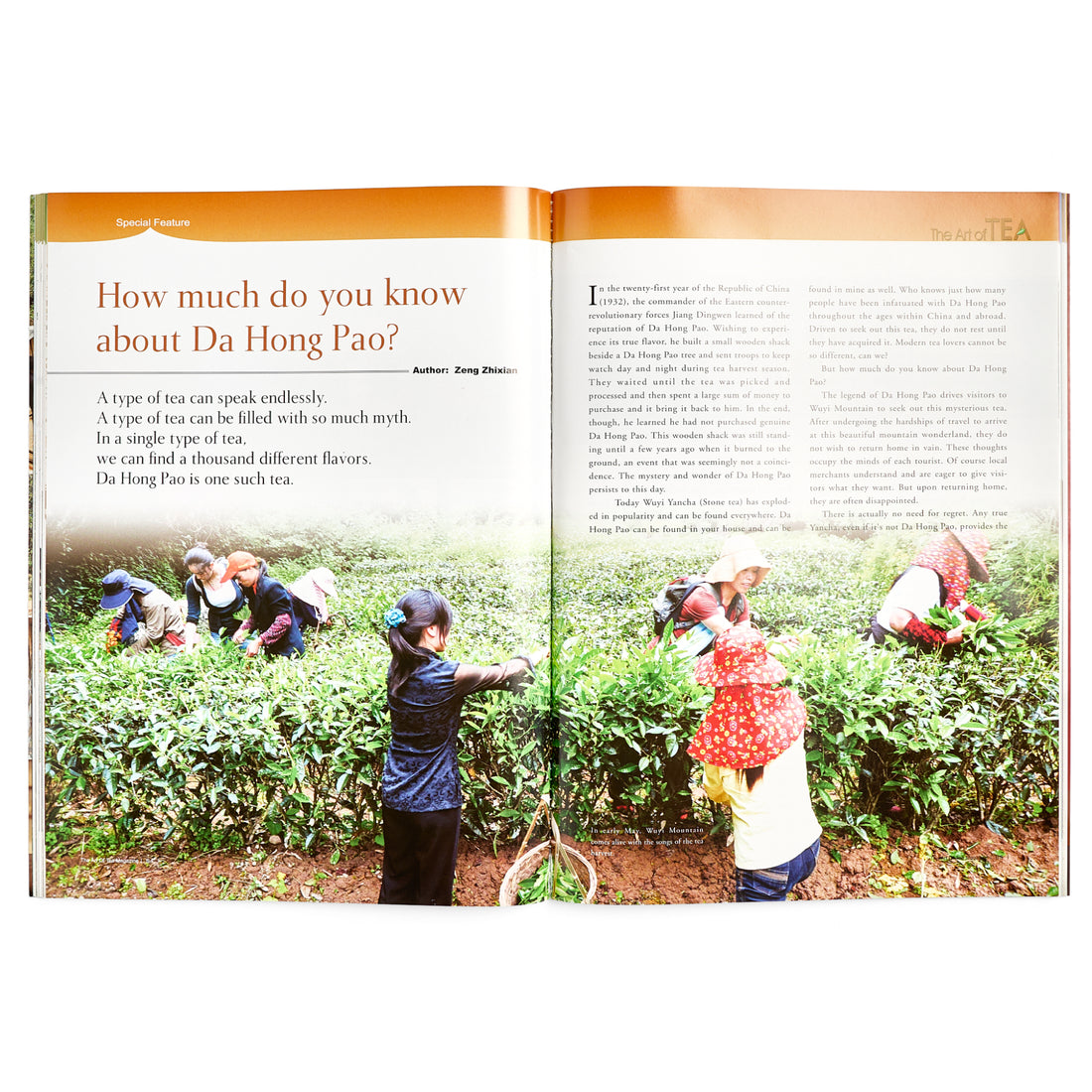 Art of Tea Magazine
