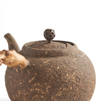 Medium Chen Qi Nan Sidehandle