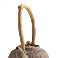 Chen Qi Nan Kettle