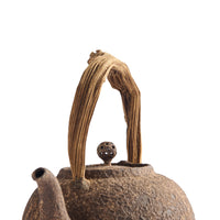 Chen Qi Nan Kettle