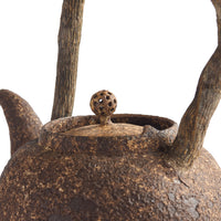 Chen Qi Nan Kettle