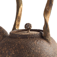Chen Qi Nan Kettle