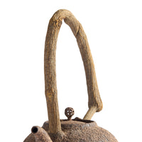 Chen Qi Nan Kettle