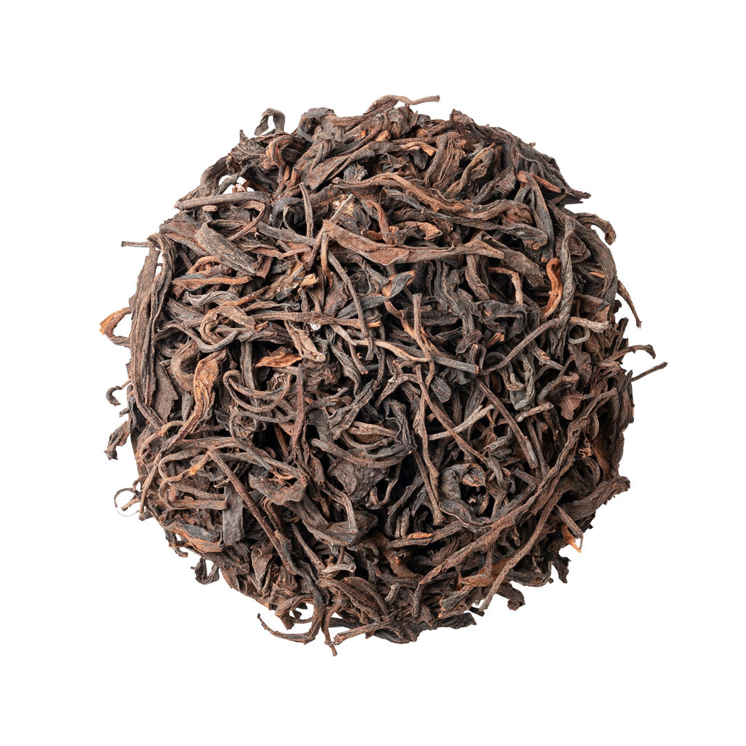 Forest Path – Global Tea Hut