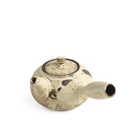 Medium Petr Novak Sidehandle