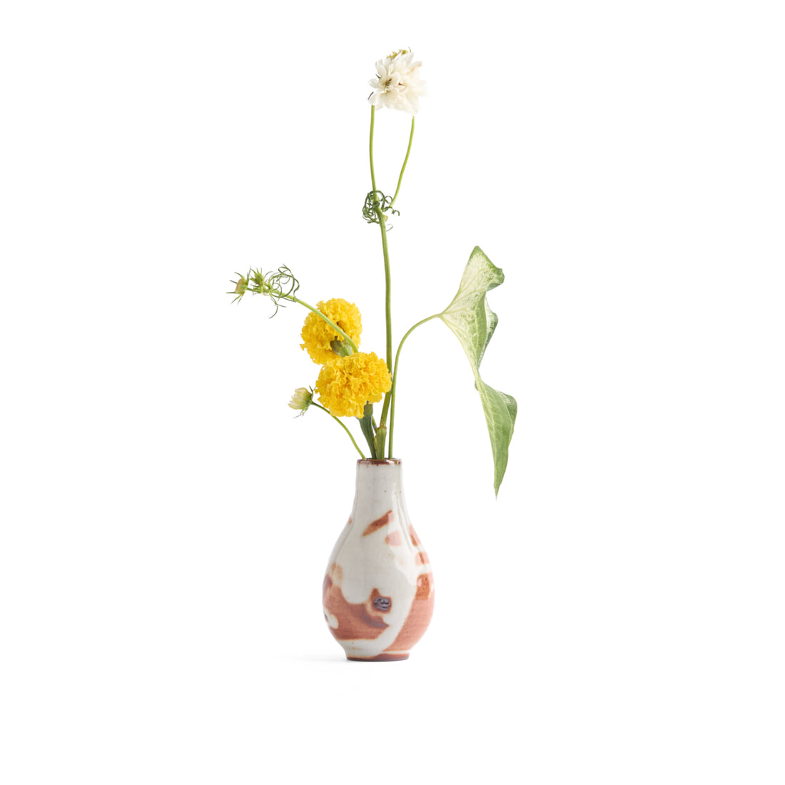 Persimmon Snow Vase