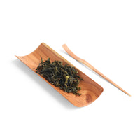 Taiwanese Hinoki Cypress Large Tea Scoop