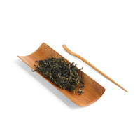 Taiwanese Cedar Large Tea Scoop