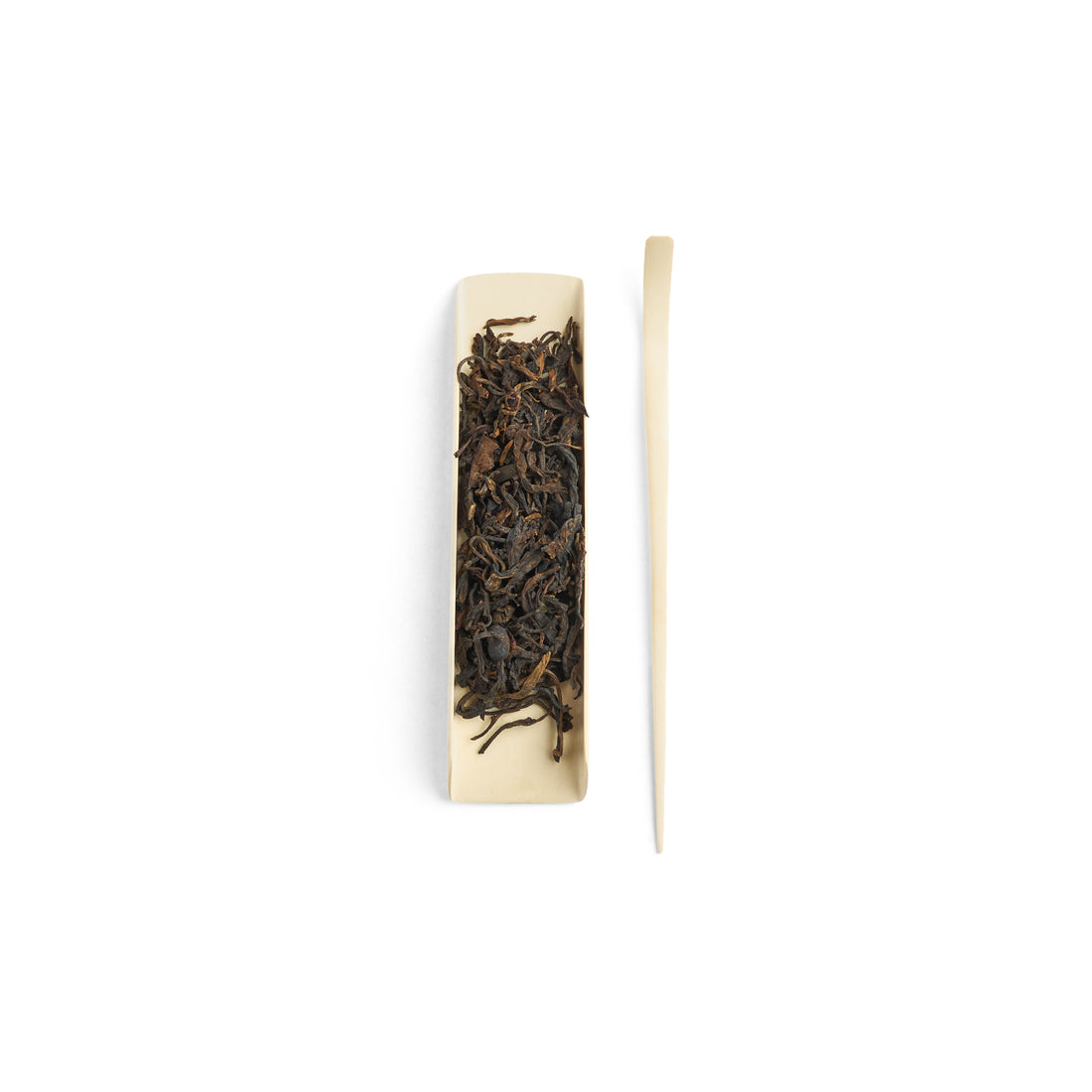 American Holly Small Tea Scoop
