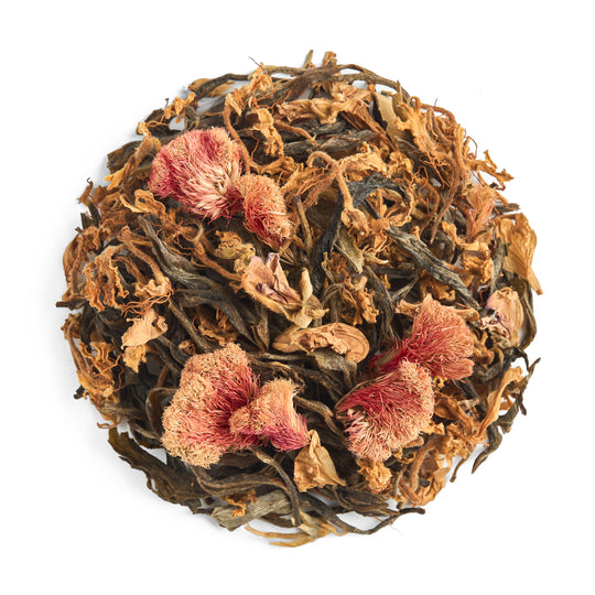 Phoenix Landing