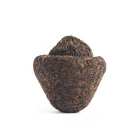 Reishi sheng puerh, a small mushroom-shaped cake