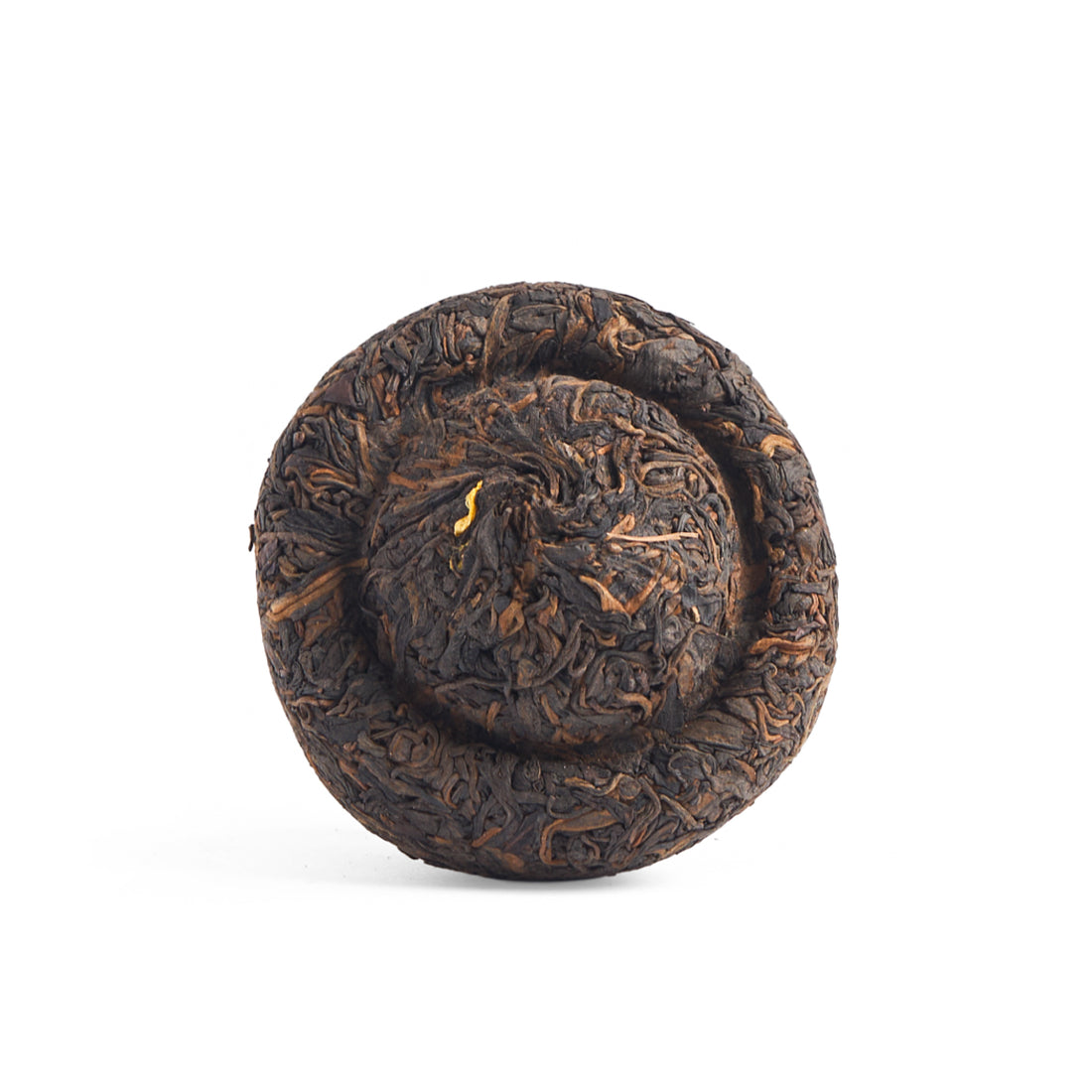 Reishi sheng puerh mushroom cake, seen from above