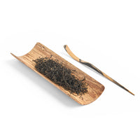 Large North American Maple Tea Scoop