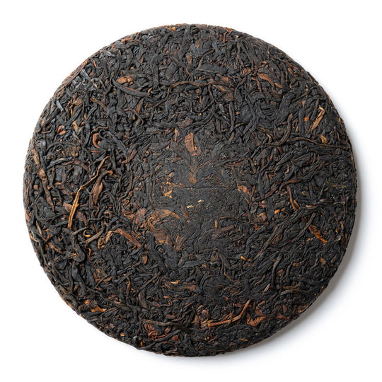 Daughter of the Forest