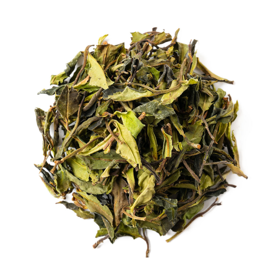 Moonlight White Global Tea Hut moonlight-white-global-tea-hut